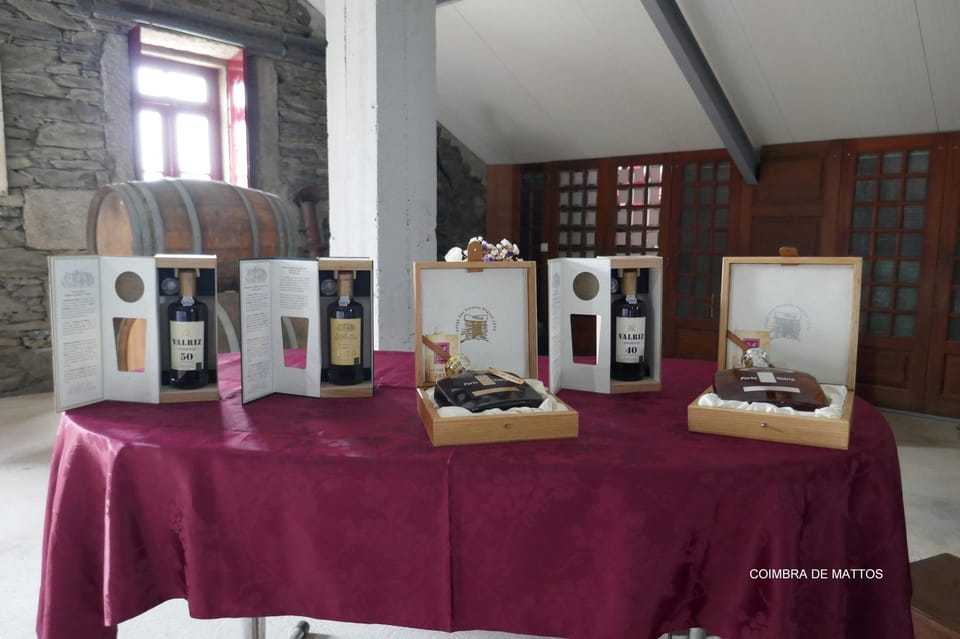 Régua: Wine Tasting at a Farm, Traditional Lunch, Cruise and Train - Coimbra de Mattos wine tasting: 5 wines in a historic estate