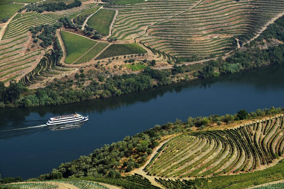 Régua: Wine Tasting at a Farm, Traditional Lunch, Cruise and Train - Price and value: why $125 can make sense