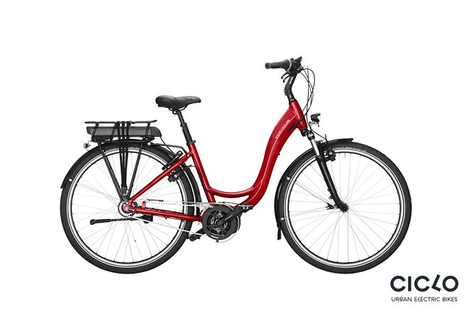 Rent an Electric Bike with Bosch motor - The Value Equation: Why $42.05 Can Be a Smart Deal
