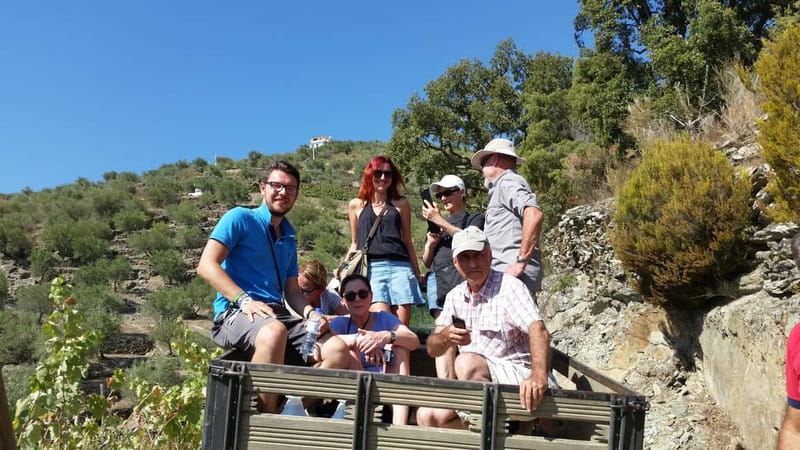 Small Group: Douro Valley Wine Tasting from Porto - Key Highlights You’ll Feel Immediately