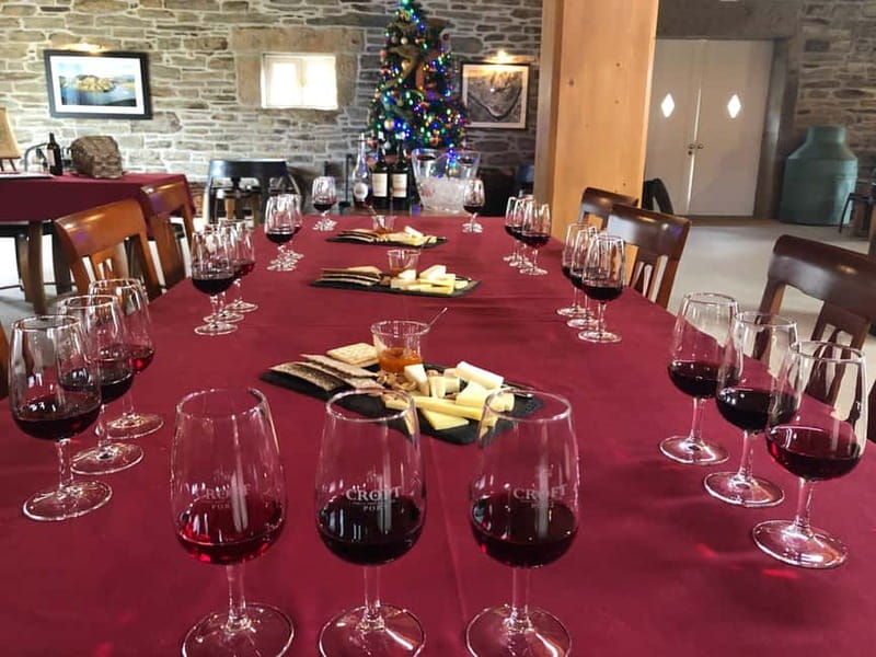 Small Group: Douro Valley Wine Tasting from Porto - What to Bring and How to Enjoy the Day More