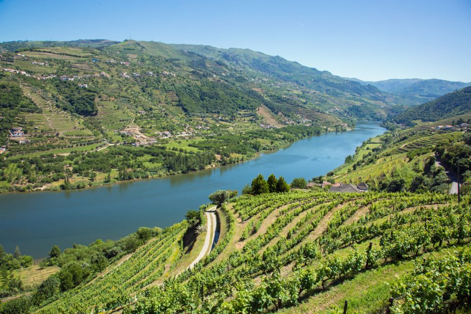 Small Group: Douro Valley Wine Tasting from Porto - The One-Hour Douro River Boat Cruise: Views You Can’t Replicate on Land