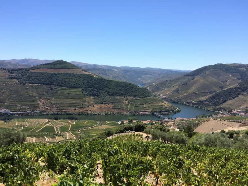 Small Group: Douro Valley Wine Tasting from Porto - The Tastings: What You’re Actually Paying For at $176