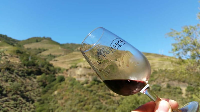 Small Group: Douro Valley Wine Tasting from Porto - Skip-the-Ticket-Line and the Guide-Led Pace