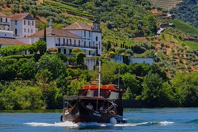 Small Group Douro Wine Valley Tour with Lunch and Wine Tasting - Price and value: is $174.32 a smart buy?