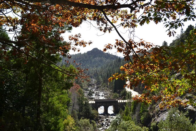 Small Group Geres National Park Full Day with picnic from Porto - Lunch in the park: picnic included, with a smart Plan B