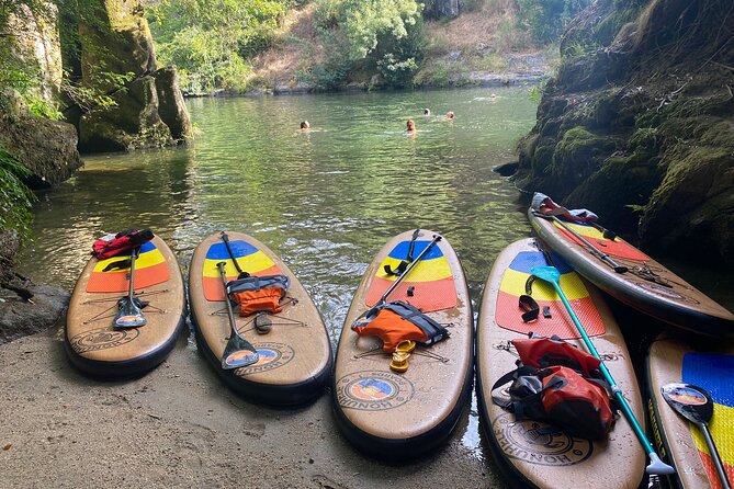 Stand-up-Paddle tour in Paiva river - Key Highlights Before You Go