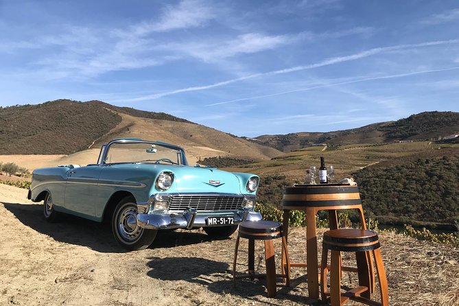 Taste the Douro - Vintage Experience - Key Highlights You’ll Care About