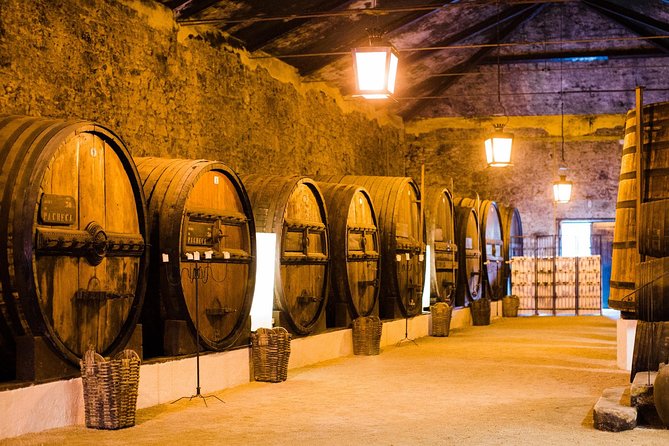 Taste the Douro - Vintage Experience - The Douro, Packaged Into a Perfect 6–7 Hours