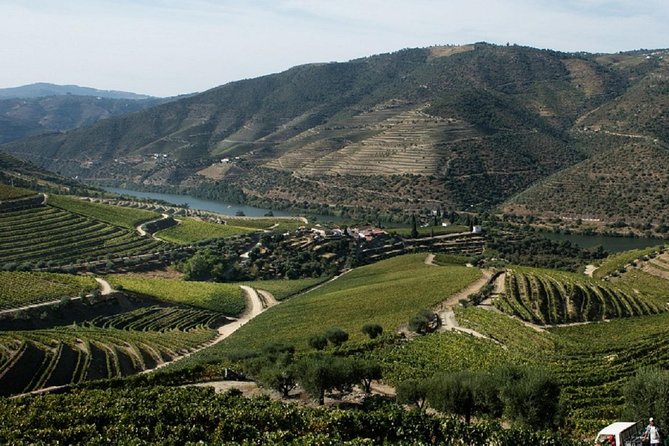 Taste the Douro - Vintage Experience - Lunch in a Typical Duriense Restaurant: What You Get, and What to Expect