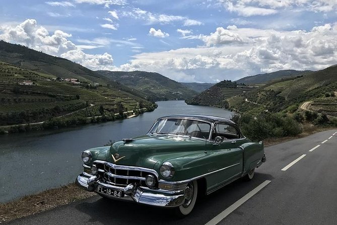Taste the Douro - Vintage Experience - Pickup, Timing, and Weather: How to Set Yourself Up