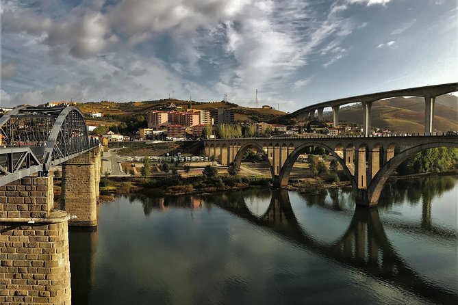 Taste the Douro - Vintage Experience - Who This Tour Fits Best (And Who Might Want Something Else)