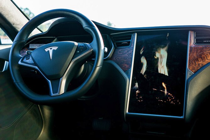Tesla S Luxury Executive Porto Airport Transfer - Who Should Book This Tesla S Ride (and Who Might Skip It)