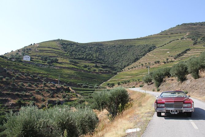 The Luxury Douro tour - DOC Restaurant: When the View Is Part of the Meal