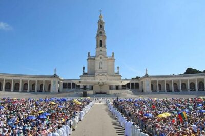 Tour Between Lisbon - Porto or Porto-Lisbon with several stops - Door-to-Door Comfort: From Pickup to Getting Settled in Porto or Lisbon