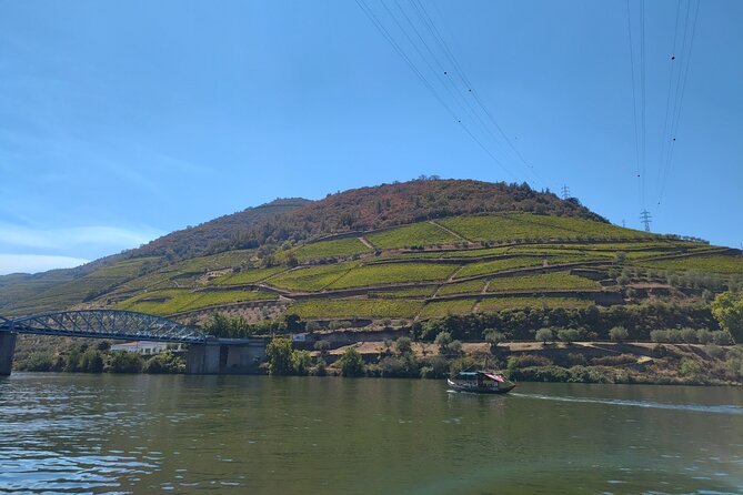 Tour- Douro Wine Region- The Douro Wine Route - Stop 3: Peso da Régua tasting—no big-brand script