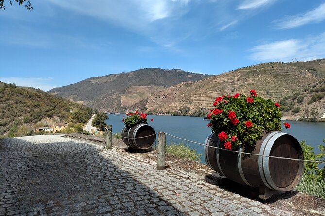 Tour- Douro Wine Region- The Douro Wine Route - Stop 4: Sabrosa at Vintage House Theory—lunch, nectars, and port