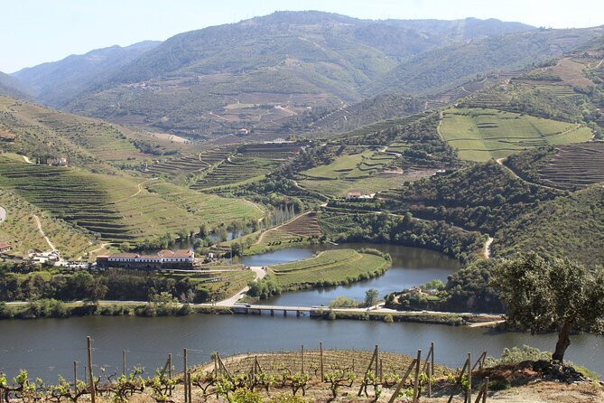 Tour the Douro wine region, and discover the fantastic landscape - Douro Valley Day Trips From Porto: Why This One Works