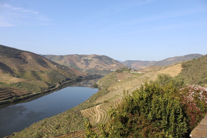 Tour the Douro wine region, and discover the fantastic landscape - Food, Comfort, and the Pace of a 9–10 Hour Day