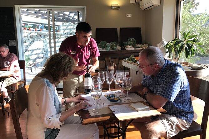 Tour to the Palace of Mateus and the Douro - Provesende vineyard village and lunch: where the day feels human