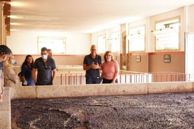 Tour to the Palace of Mateus and the Douro - Pinhão Railway Station: why this quick stop is worth it
