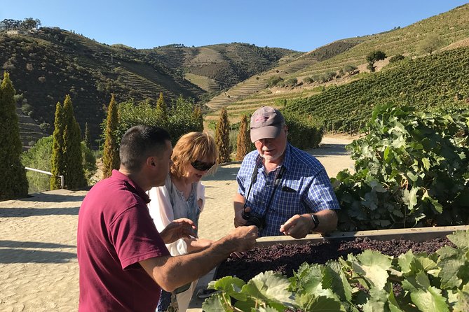 Tour to the Palace of Mateus and the Douro - Viewpoint time: the “connect the dots” moment
