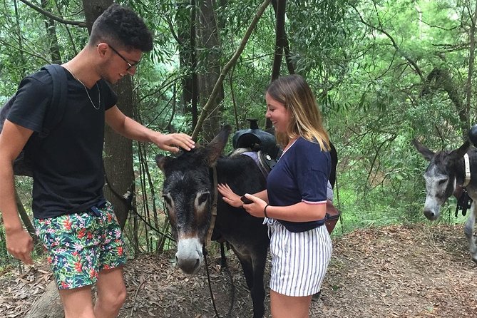 Tour to the Waterfalls in 4x4 full day - Green wine tasting and local taverna meals: how the food fits the day