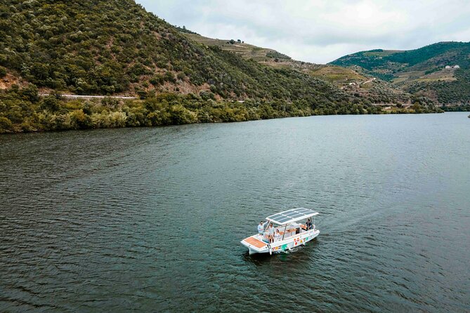 Valley of the Douro: Private Tour Electric Boat 1h With Wine Tasting - Where you go on the river: Douro Valley scenery and the Pinhão panorama