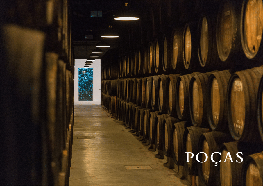 Vila Nova de Gaia: Winery Tour with 2 DOC Douro & 1 Port - Key highlights worth your attention