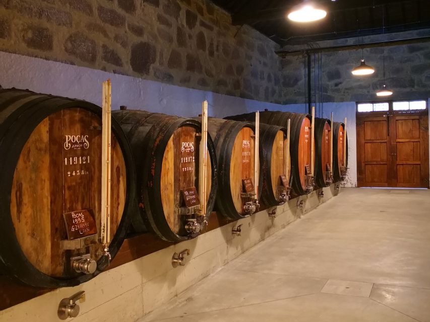 Vila Nova de Gaia: Winery Tour with 2 DOC Douro & 1 Port - Price and value: $27 for three wines plus a cellar lesson