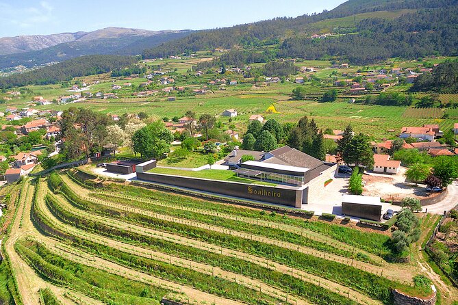 Vinho Verde Experience with 2 Wineries and Lunch - Key highlights worth knowing