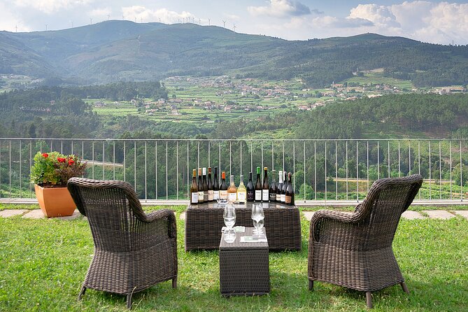 Vinho Verde Experience with 2 Wineries and Lunch - Small-group comfort: guides, pace, and how the day stays friendly