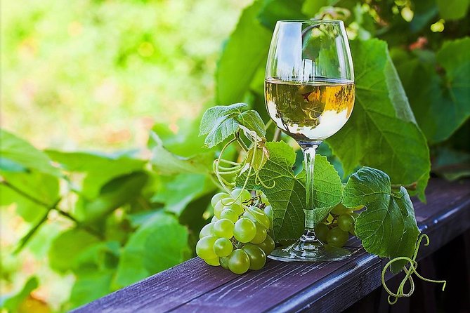 Vinho Verde Private Wine-Tour (All Inclusive) - Porto to the Vinho Verde region: why this wine trip feels different