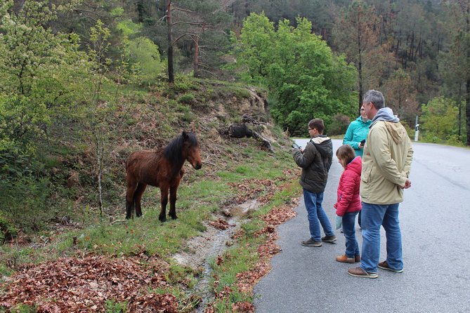 Waterfalls, Heritage and Nature in Gerês Park - from Porto - Lagoons near Fafiao: clear water time (and yes, it can be cold)