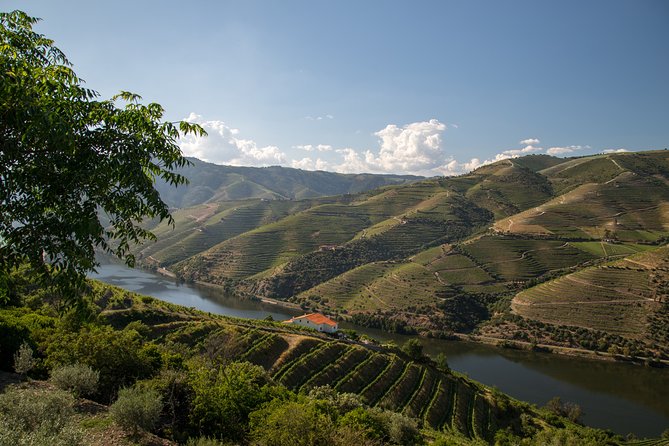 Wine experience with a sommelier - The viewpoint stop: short pause, big payoff