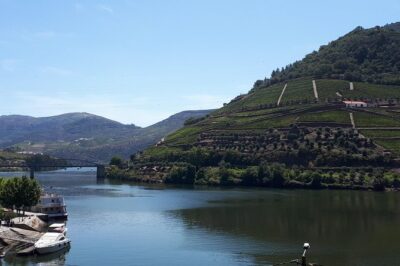 Wine experience with a sommelier - Lunch at a Quinta: goatling on the menu and the value of a real break
