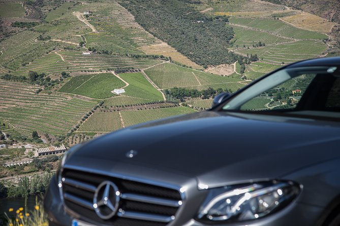 Wine experience with a sommelier - Second premium tasting at another Douro boutique farm