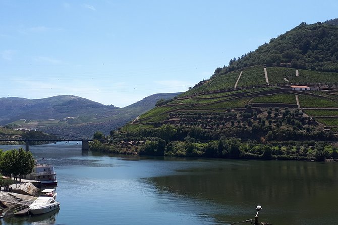 Wine experience with a sommelier - Lunch at a Quinta: goatling on the menu and the value of a real break