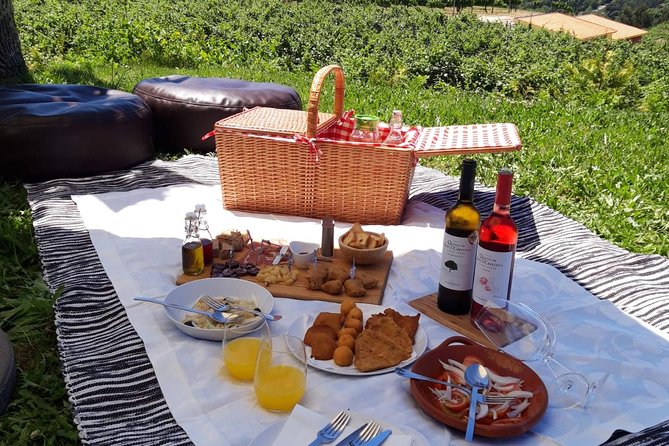 Wine Tasting & Lunch from Porto | Quinta de Santa Cristina - Inside Quinta de Santa Cristina: from grape reception to bottling