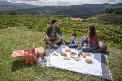 Wine Tasting & Lunch from Porto | Quinta de Santa Cristina - Vineyard walk: why grape varieties make the tastings click