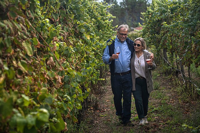 Wine Tasting & Lunch from Porto | Quinta de Santa Cristina - Timing and group size: why this feels good even when you’re short on time