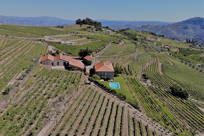 Winery Tour and Wine Tasting Quinta da Portela de Baixo in Lamego - Food Pairings That Actually Match the Wines