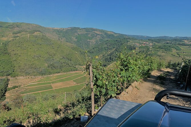 Winery Tour and Wine Tasting Quinta da Portela de Baixo in Lamego - Price and Value: What $36.20 Really Buys You